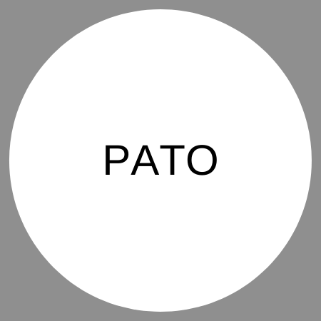 Pato