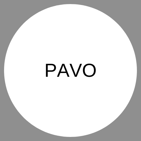 Pavo